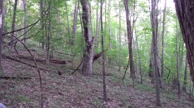 20150803_180151 (800x450)