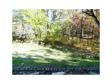 Yard. Beautiful view of the woods with wild turkey