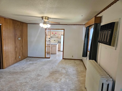 Carpeted empty room featuring ceiling fan, radiato