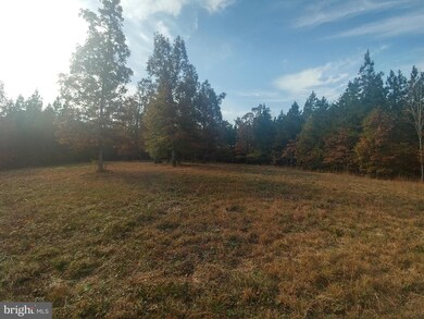 0 Carsons Corner unit 1000091757, Louisa, VA 23093 - photo 6