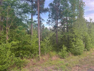 View of nature featuring a forest view