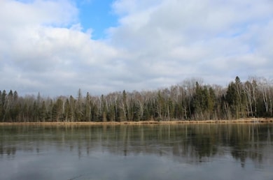 762 Moonlight Ln, Blackwell, WI 54103 - photo 4