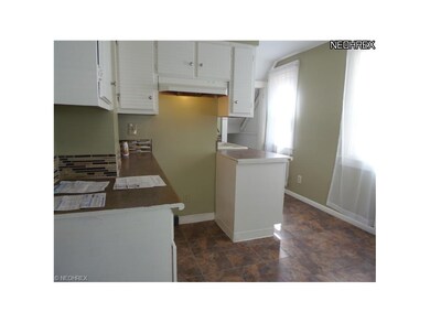 Kitchen. newer counter tops, vinyl floor.