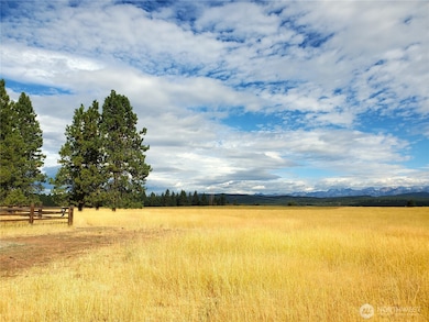 Vast meadows leading to the Stuart Mountains