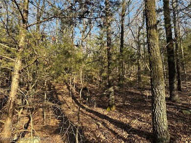 28734 Skyridge Ln, Heavener, OK 74937 - photo 5