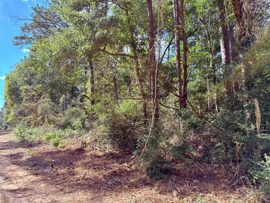 0 Warpath Dr unit 10488325, Livingston, TX 77351 - photo 3