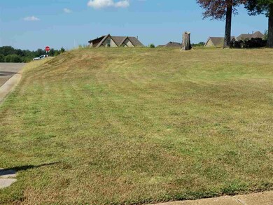 65 Country Brook Dr, Oakland, TN 38060 - photo 7