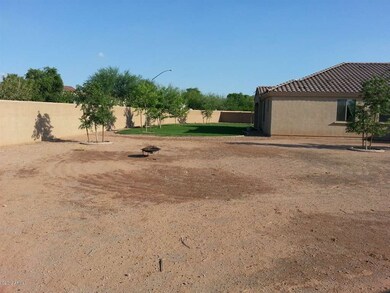 Huge Backyard