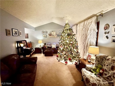 939 Robin Hood Dr, Follansbee, WV 26037 - photo 5