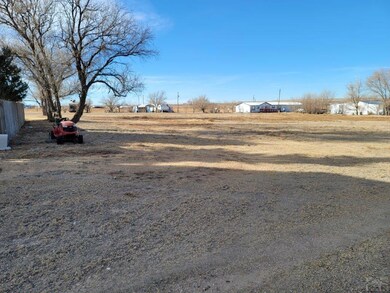 975 S Main St, Hasty, CO 81044 - photo 4