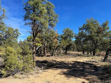 Davids Rock Rd, Ramah, NM 87321 - photo 4