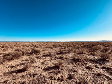 Desert Sage