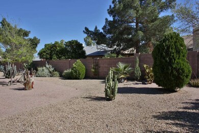Back Yard 5