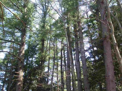 0 Tingley St unit Lot 140-32-0, Rochester, NH 03867 - photo 5