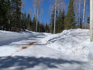Mtn View 2