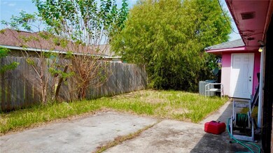 Back yard