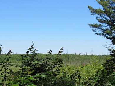 TBD County Fl Rd, Champion, MI 49814 - photo 7