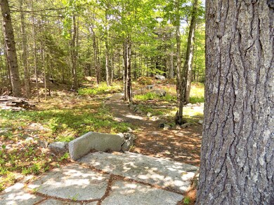 park like setting in your back yard