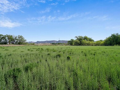 2948 G Rd, Grand Junction, CO 81504 - photo 5