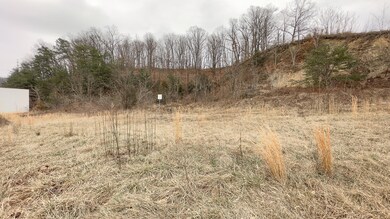 108 Water St, Johnson City, TN 37601 - photo 6