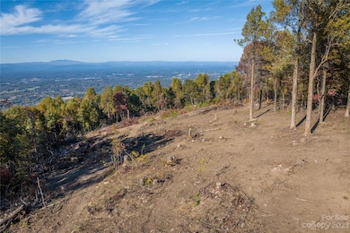 6499 Walkertop Mountain Overlook Dr unit 22, Morganton, NC 28655 - photo 3