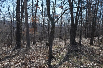 DSC_0392_2642