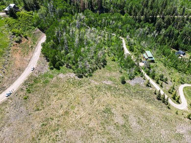 DJI_0781