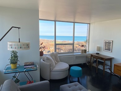 Faulkner House Condos unit 2001F, Chicago, IL 60610 - photo 5