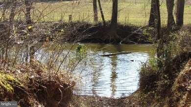 12496 Bristow Rd, Nokesville, VA 20181 - photo 7