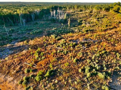 0 Brushy Creek Rd unit LotWP006 22148687, Columbia, MS 39429 - photo 4