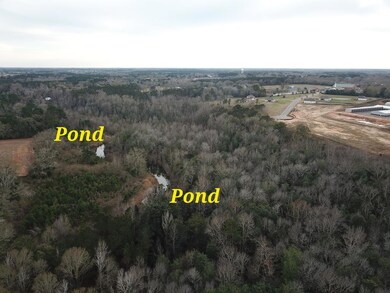 50.45 Acres Trawick Rd, Dothan, AL 36301 - photo 6