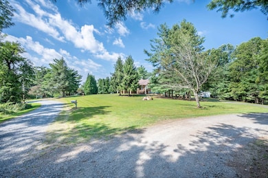 292 Thunder Hill Rd, Fancy Gap, VA 24328 - photo 6