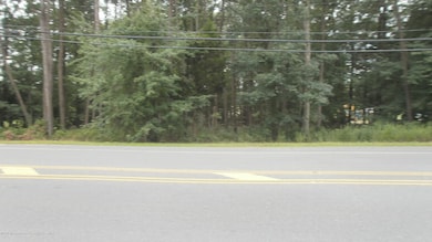 3921 Ridgeway Rd, Lakehurst, NJ 08759 - photo 4