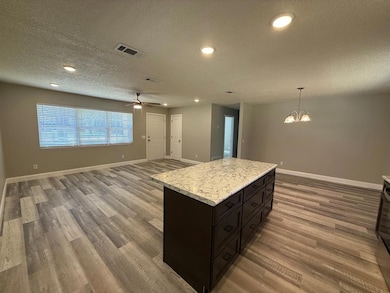 4 Lakeside Dr, Hazlehurst, GA 31539 - photo 5