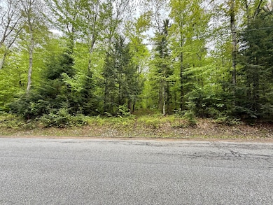 532 New York 8 unit 3, Piseco, NY 12139 - photo 4