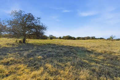 11051 Brock Hwy, Lipan, TX 76462 - photo 6