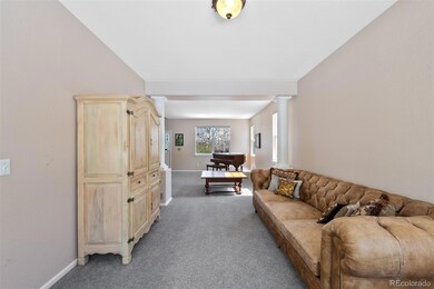 10535 Jaguar Point, Lone Tree, CO 80124 - photo 6