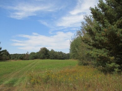 Parcel A N Felch Ave, Lincoln Township, MI 49349 - photo 5