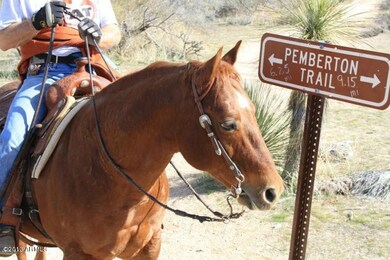 Trails McDowell Mountain Regional Park