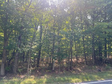 image_50416385