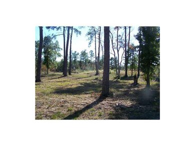Land/Lot.
