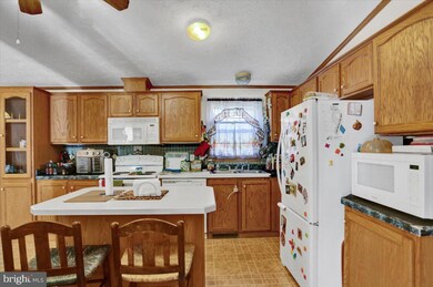 11 Doe Ct, Honey Brook, PA 19344 - photo 7