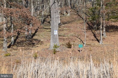 21 Ewing Dr, Moorefield, WV 26836 - photo 3