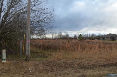 01.65 acres Brian Dr, Ardmore, AL 35739 - photo 2
