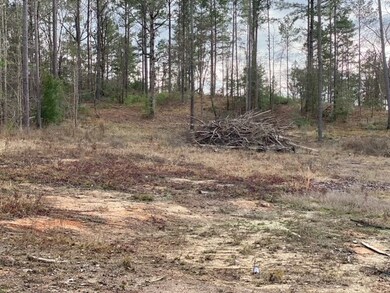 1915 Cr 620, Nacogdoches, TX 75964 - photo 3