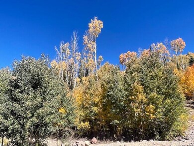 1005 Autumn Dr, Brian Head, UT 84719 - photo 2