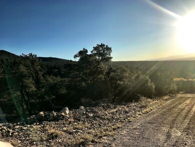 233 Lake of the Falls Pkwy, Mosca, CO 81146 - photo 4