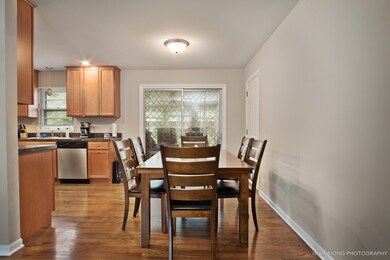 325 Tupelo Ave, Naperville, IL 60540 - photo 6