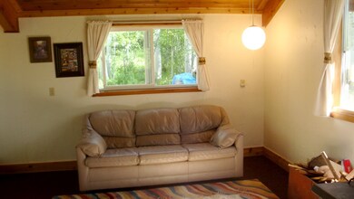 67823 Shady Ln, Collbran, CO 81624 - photo 2