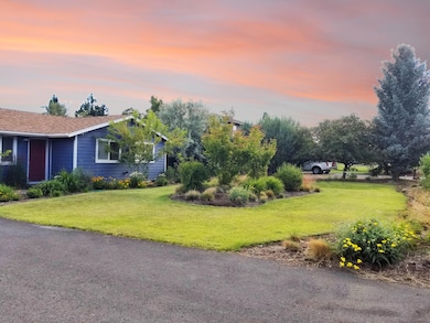 2_front yard